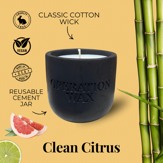 Clean Citrus Scented 9 oz Candle