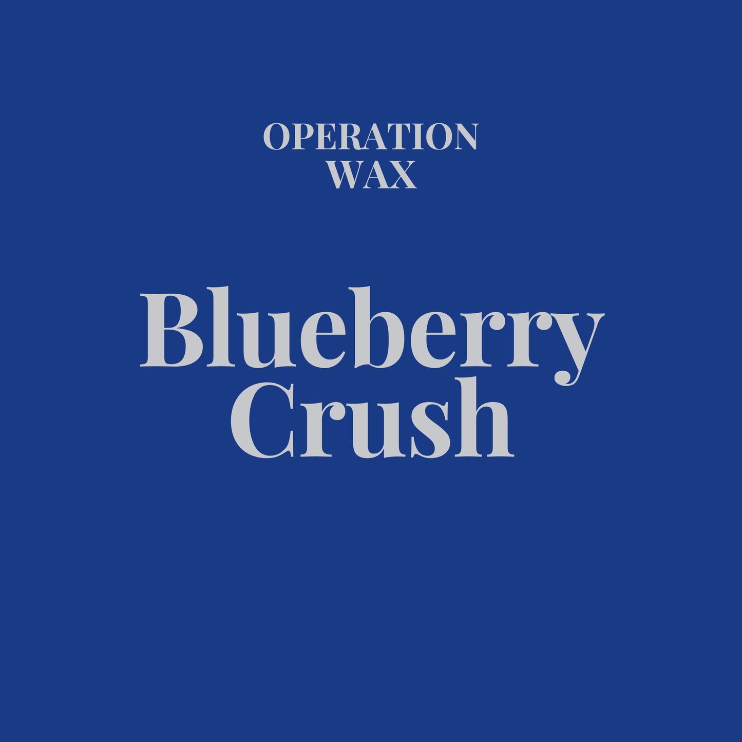 Blueberry Crush Hand Soap - Operation Wax