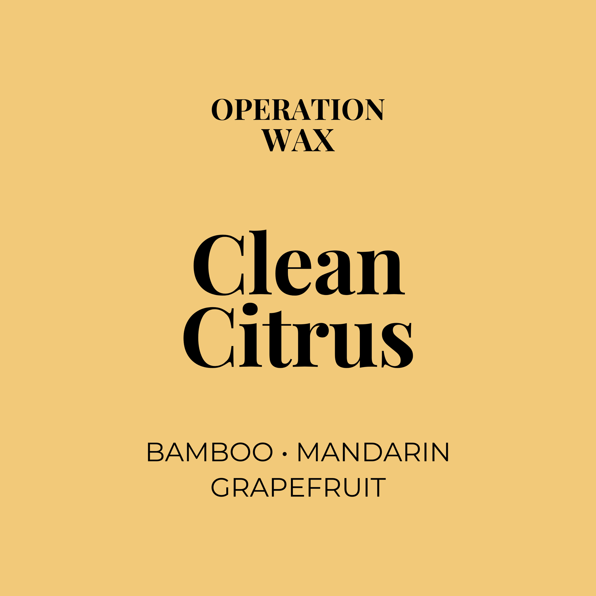 Clean Citrus Hand Soap - Operation WaxOperation Wax