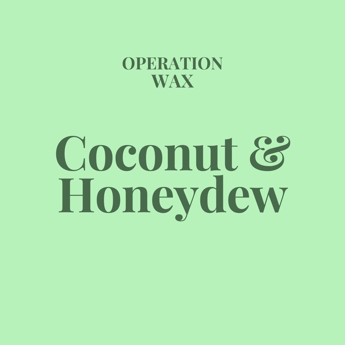Coconut & Honeydew Foaming Hand Soap - Operation Wax