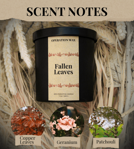 Fallen Leaves - Cotton Wick Candle - Operation Wax