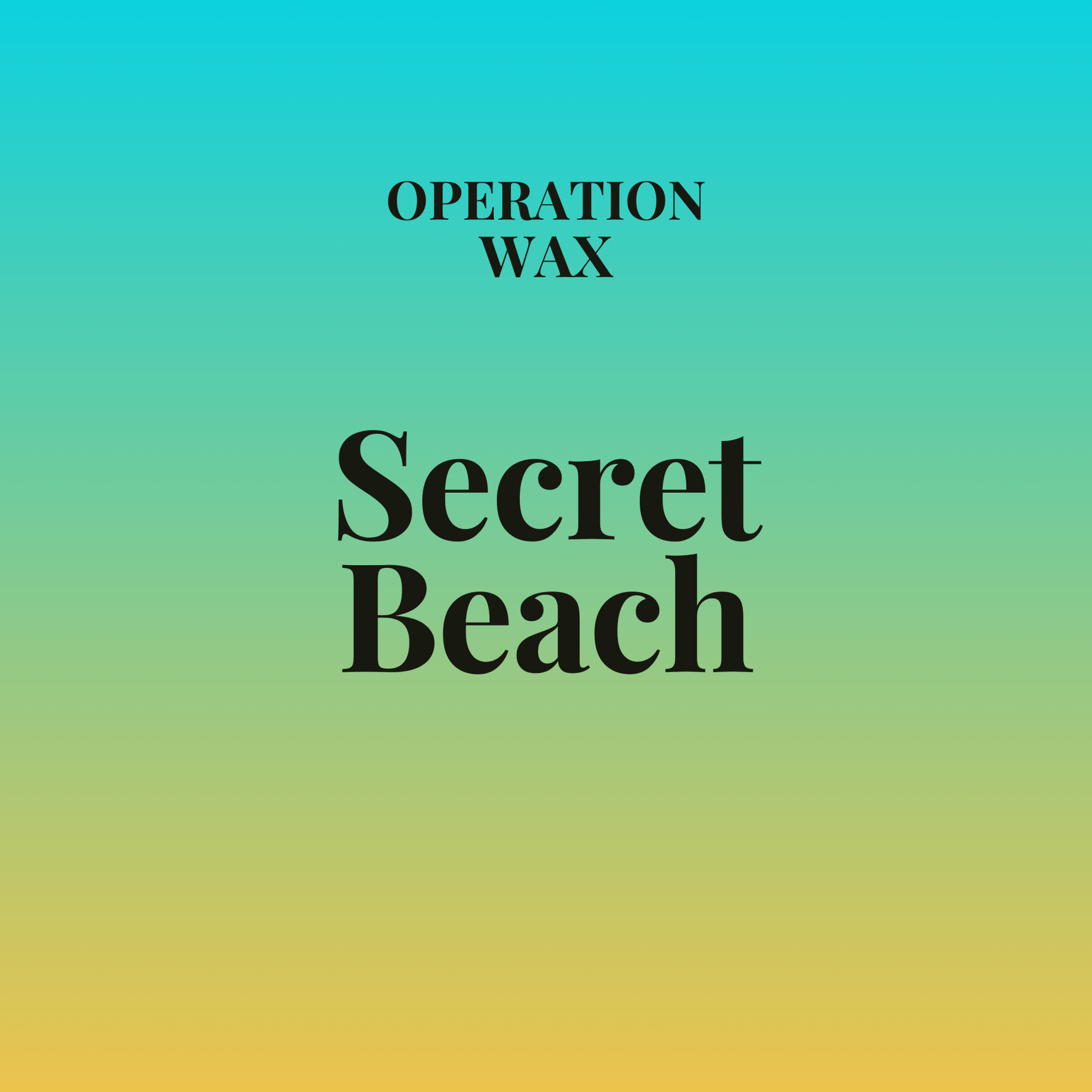 Secret Beach Foaming Hand Soap - Operation Wax